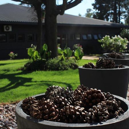 Vista Ort Hotel Kempton Park Exterior photo